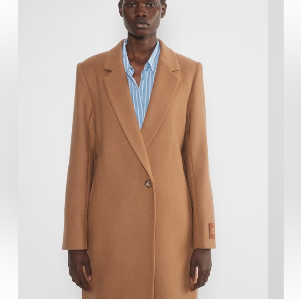 Aritzia Babaton Stedman Wool Coat